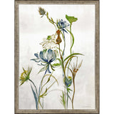 Late Summer Wildflower Ii Framed Art Silver Picture Frame Print Wall Art