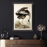 Great Blue Heron Framed Art Brown Picture Frame Print Wall Art