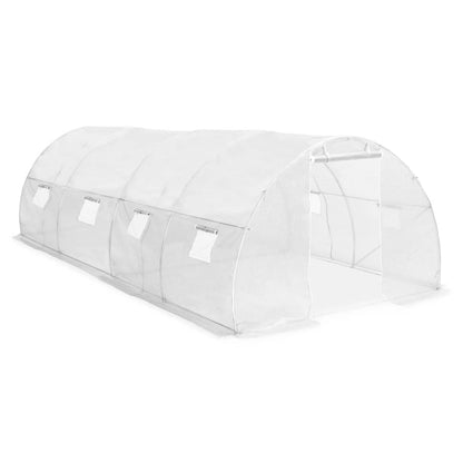 Greenhouse 193.8 ft² 236.2"x118.1"x78.7