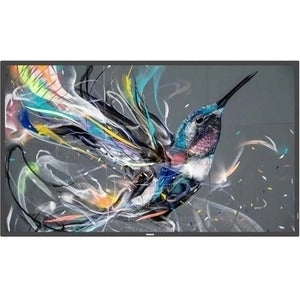 50" Prosumer 18/7 Display