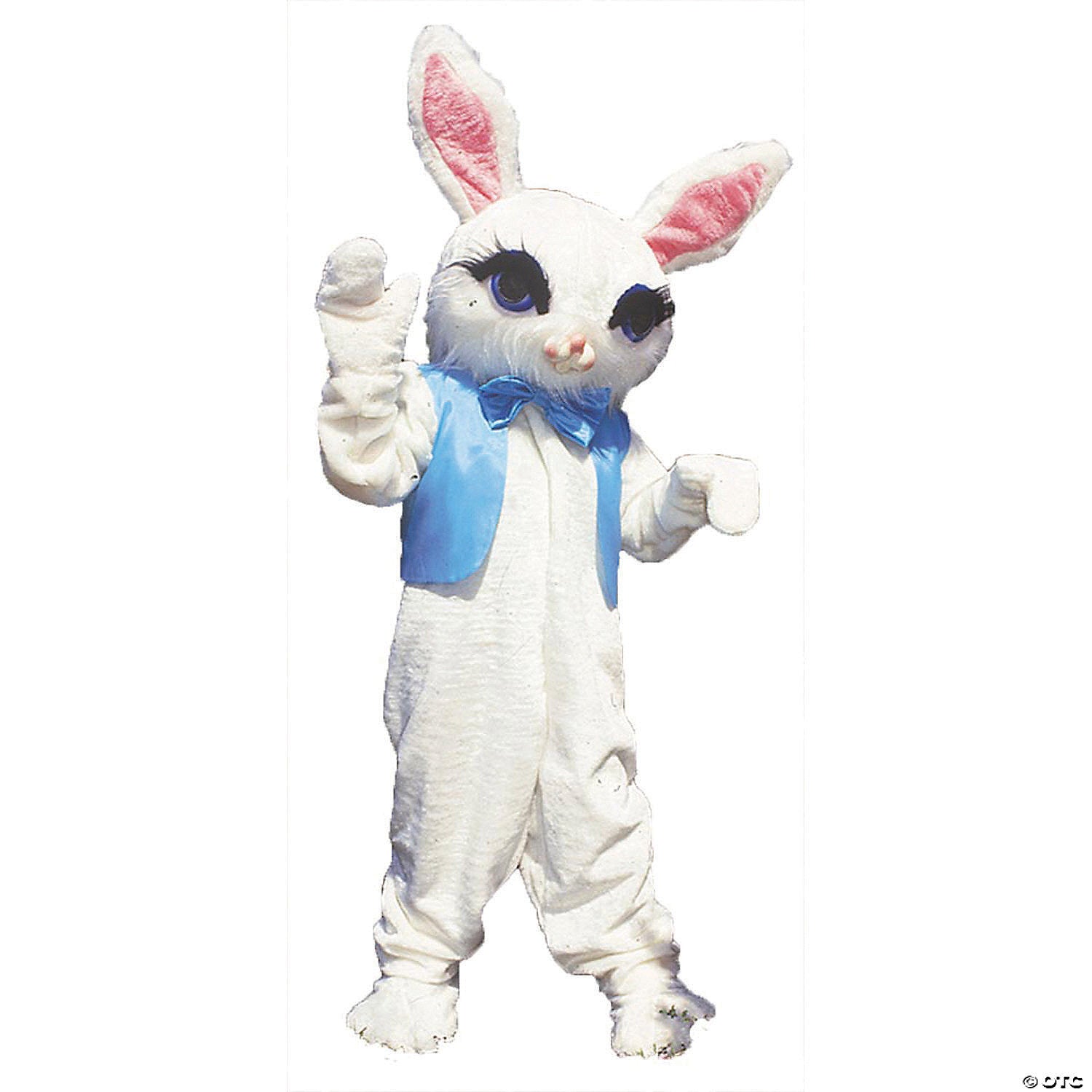 Rabbit mascot  as pictured
