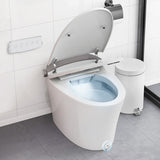 One-Piece Smart 1.16 GPF Elongated Bidet Toilet Seat with Night Light-White - Color: White