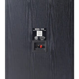 BIC America RTR1530 RtR Series RtR 1530 15-In. Indoor 3-Way Tower Speaker, 325 Watts, Black