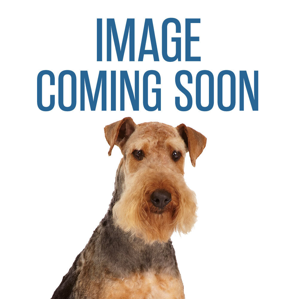 Master Equipment Pro Deluxe II Stainless Steel Dog Grooming Tubs Right Door/Left Drn