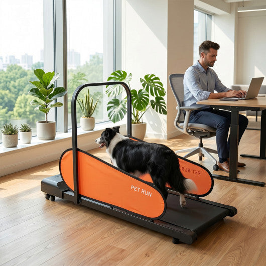 Pet Treadmill for Small & Medium Dogs with LED Display and Adjustable Speed-Black - Color: Black