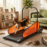 Pet Treadmill for Small & Medium Dogs with LED Display and Adjustable Speed-Black