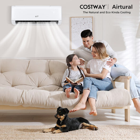 24000 BTU Smart WiFi Mini Split: Self-Cleaning AC/Heater  ENERGY STAR 21 SEER2