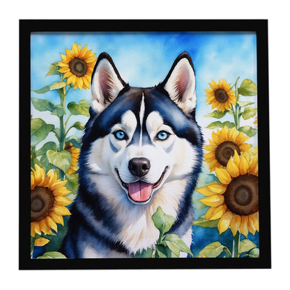 523940211